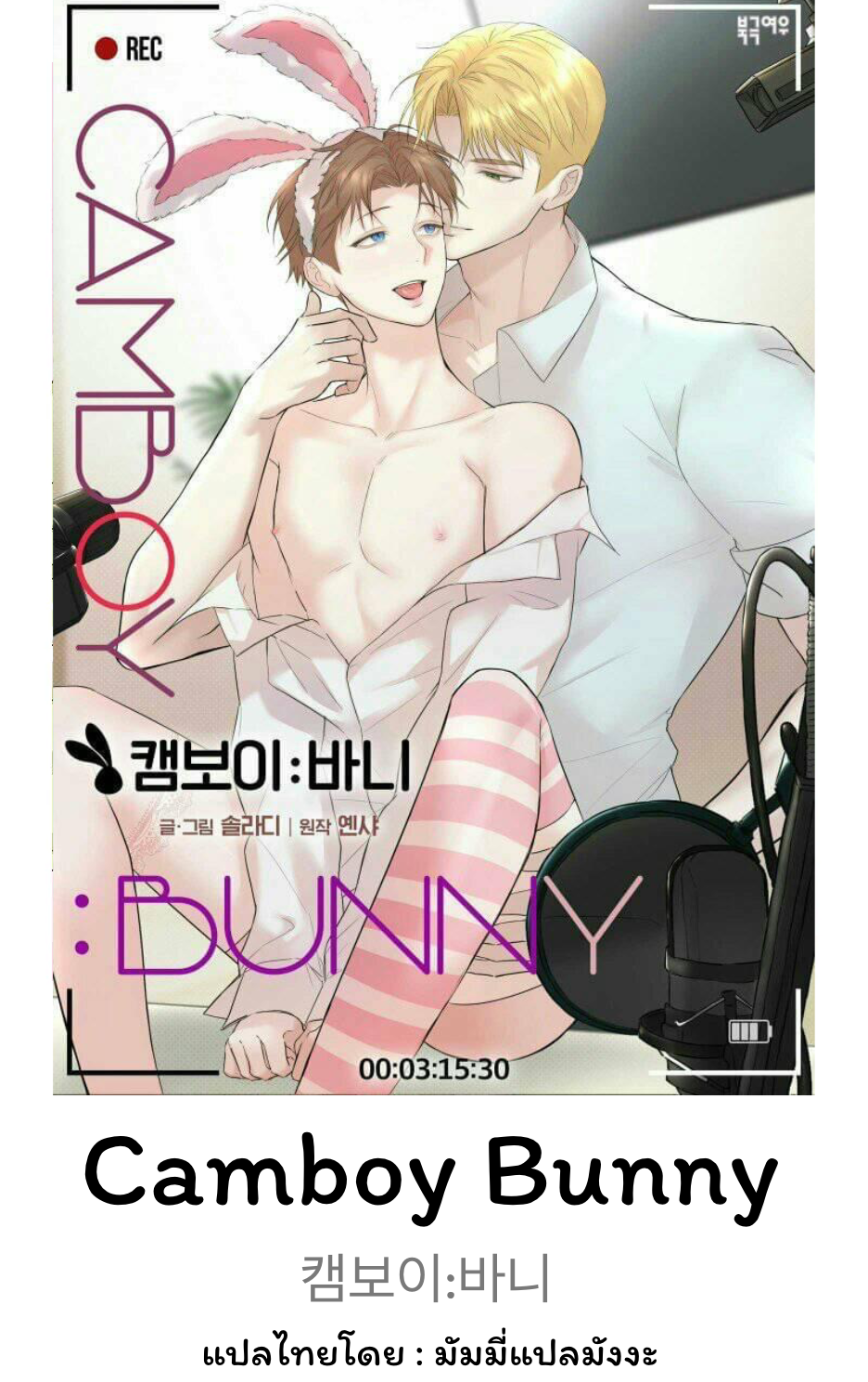 Camboy Bunny 5 (1)