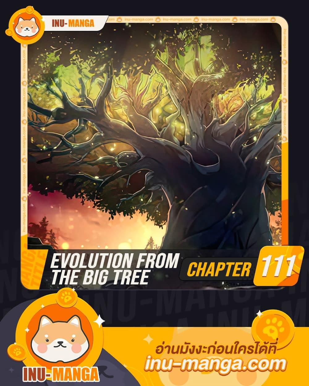 Evolution from the Big Tree ตอนที่ 111 (1)